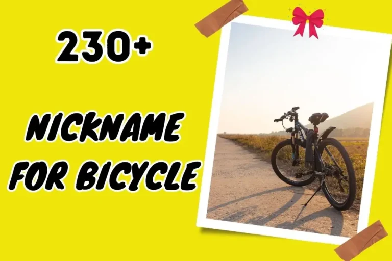 Nickname for Bicycle – Personalize Your Ride with Style
