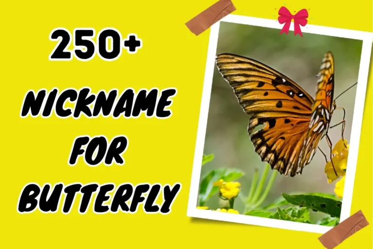 Nickname for Butterfly – Expressing Beauty and Grace