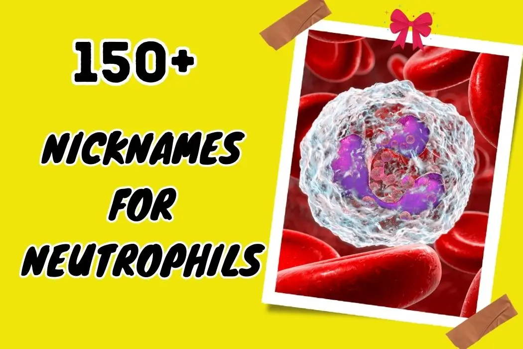 nicknames for neutrophils