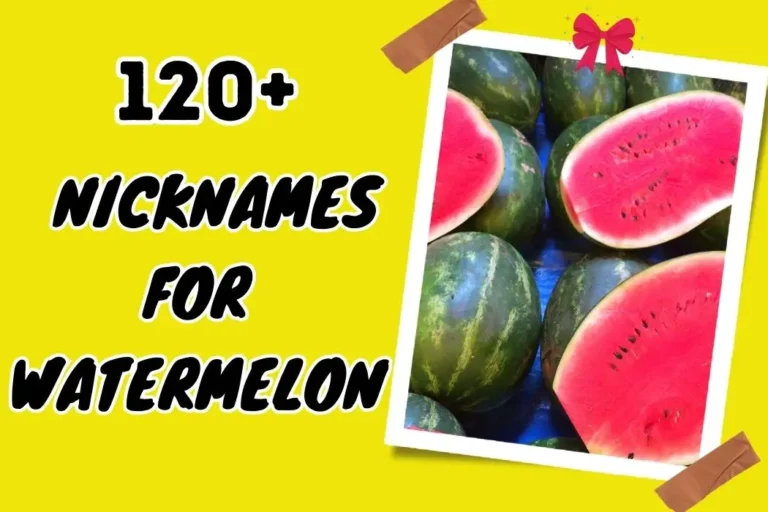 Nicknames for Watermelon – Creative Ideas for Fruit Lovers