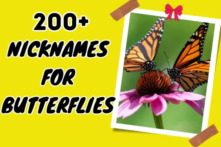 Nicknames for Butterflies – Explore Nature’s Beauty