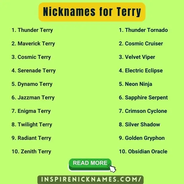 nicknames for terry list ideas