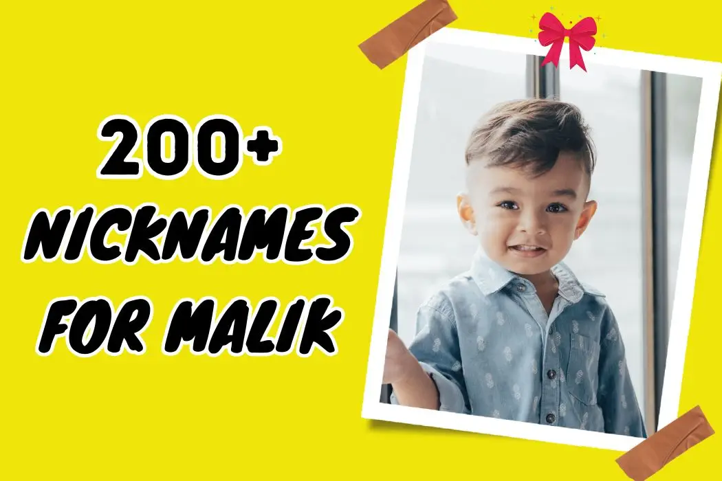 Nicknames for Malik