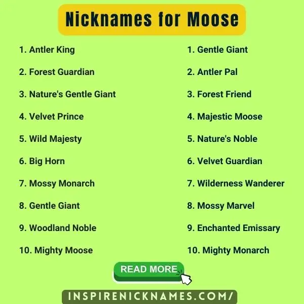 Nicknames for Moose list ideas