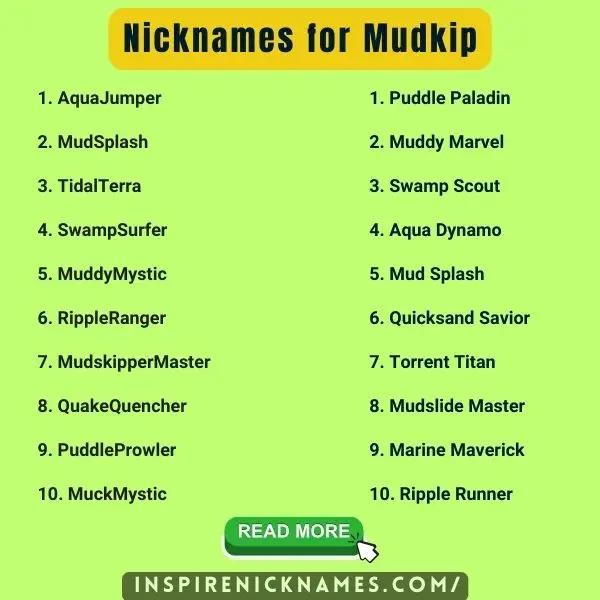 Nicknames for Mudkip list ideas