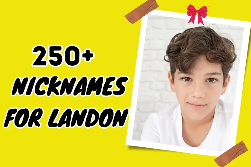 Nicknames for Landon